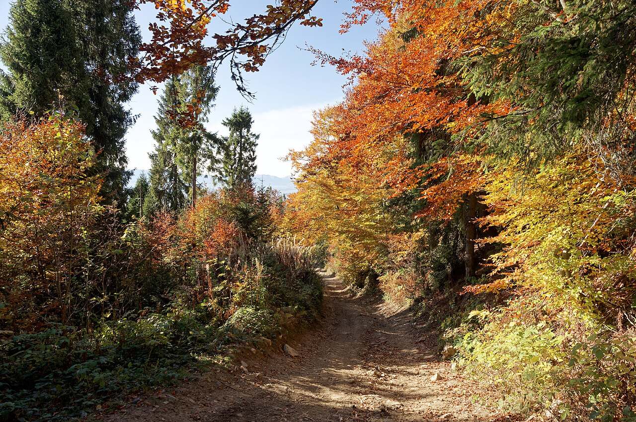 Gorce, Poland