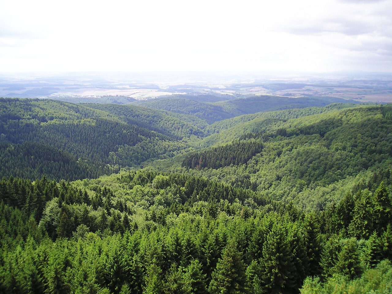 Harz, Germany