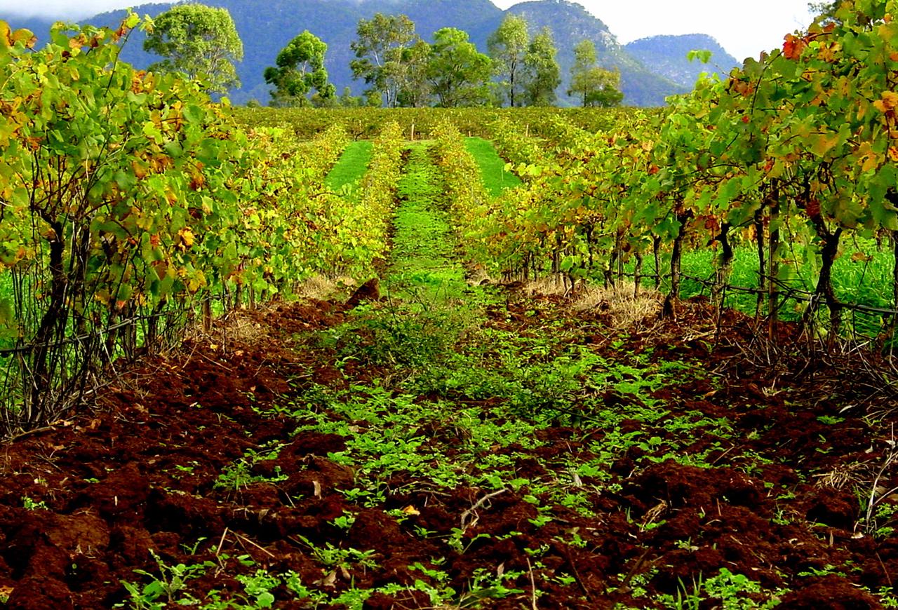 Hunter Valley, Australia