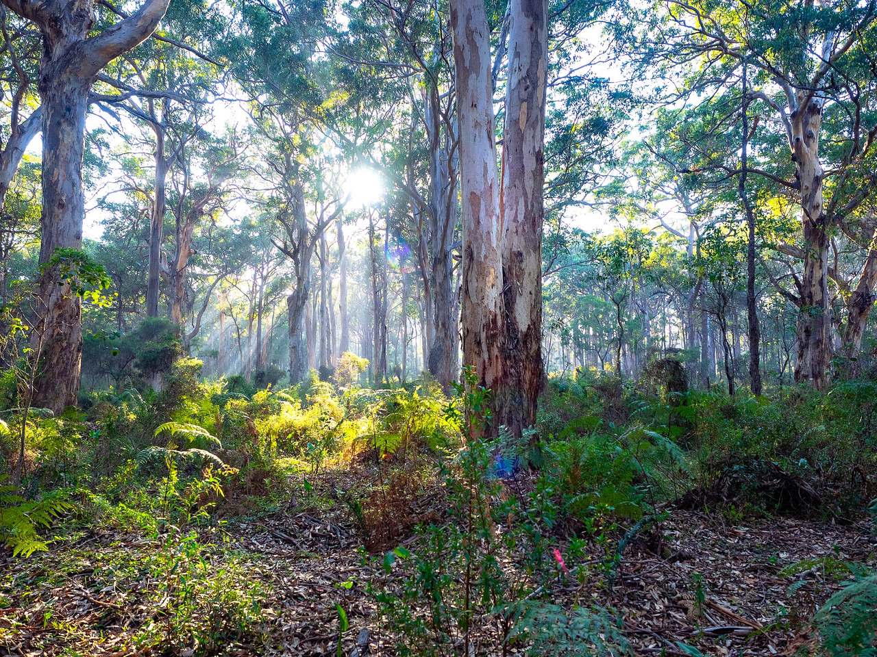 Margaret River, Australia