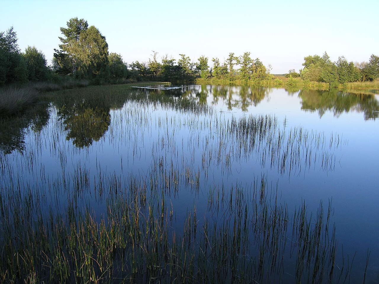 Nationalpark De Hoge Veluwe