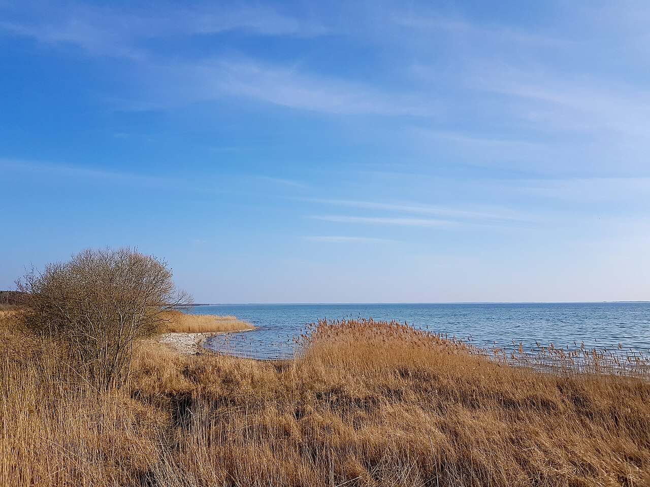 Müritz-Nationalpark