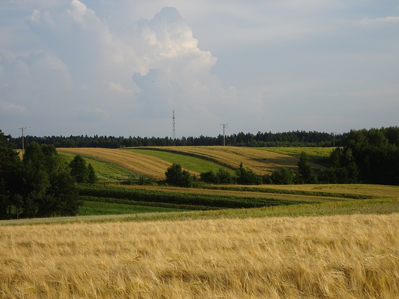 Roztocze, Poland